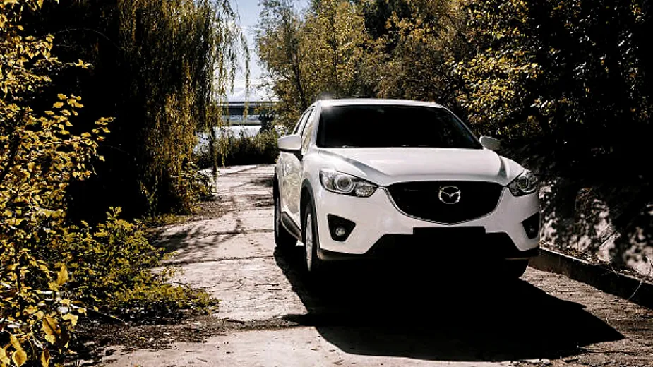 cx5.2.webp